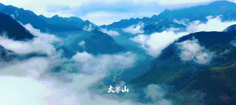 莉莉逃脱记