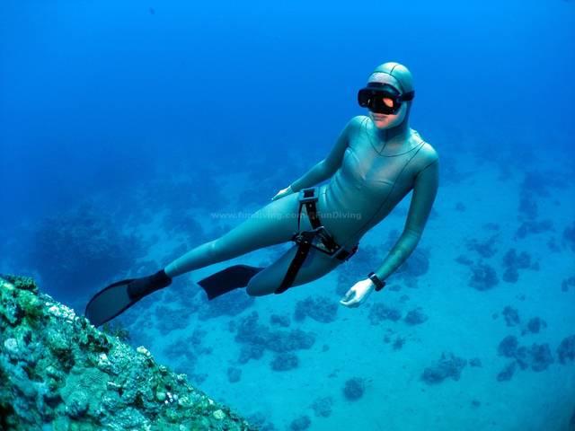 静谧飞行